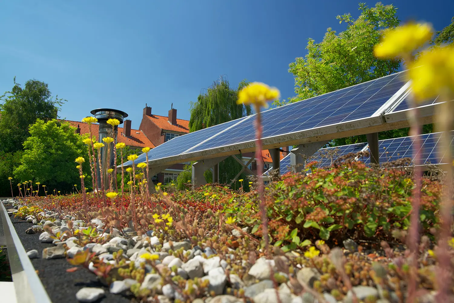 green roof garden w solar panels