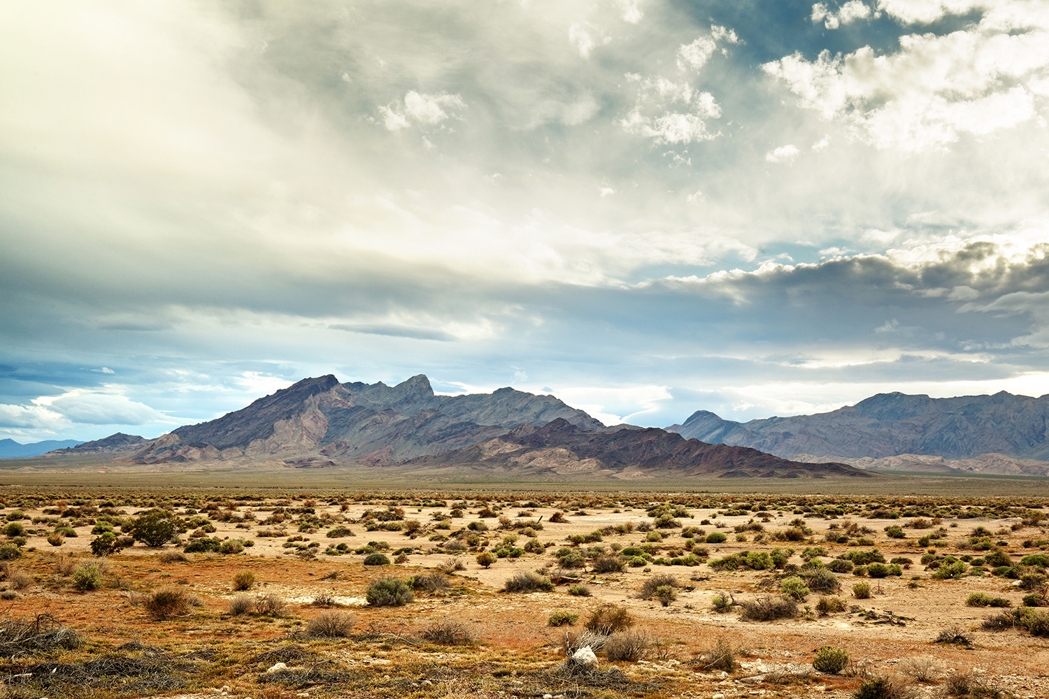 mojave desert