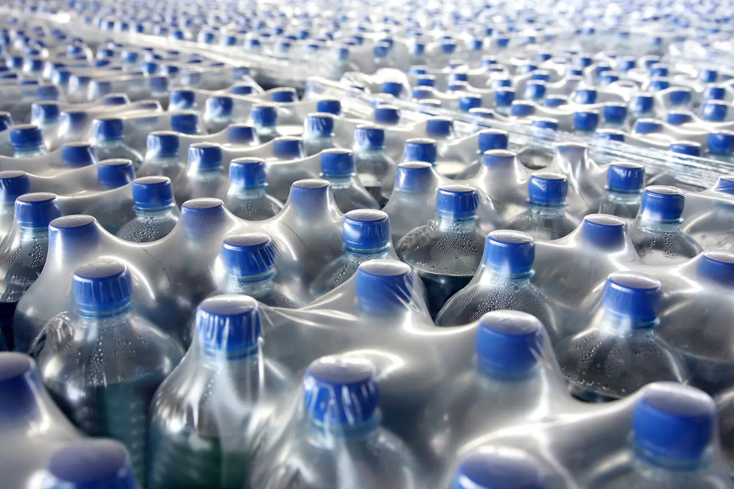 plastic bottles