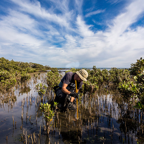 scientist asses carbon sequestration